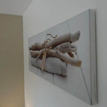 My Toul'House Appartement Toulouse Buitenkant foto
